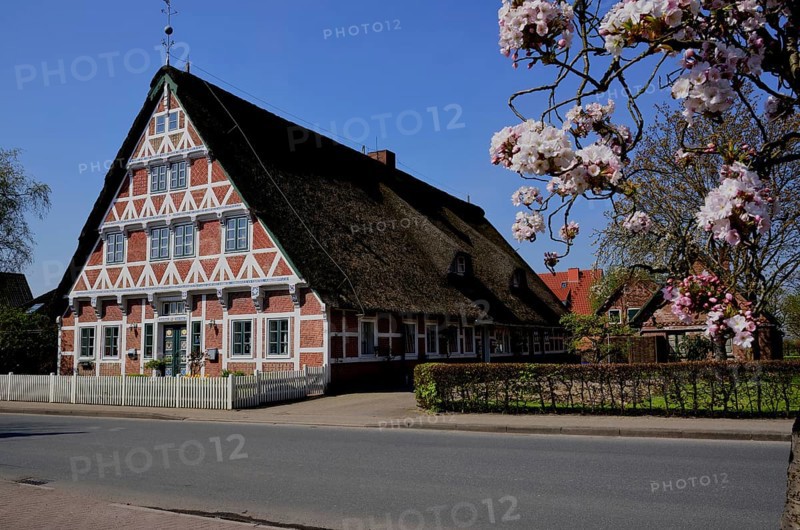 Deutschland, Niedersachsen, Steinkirchen, Bauernhaus mit Holzfachwerk