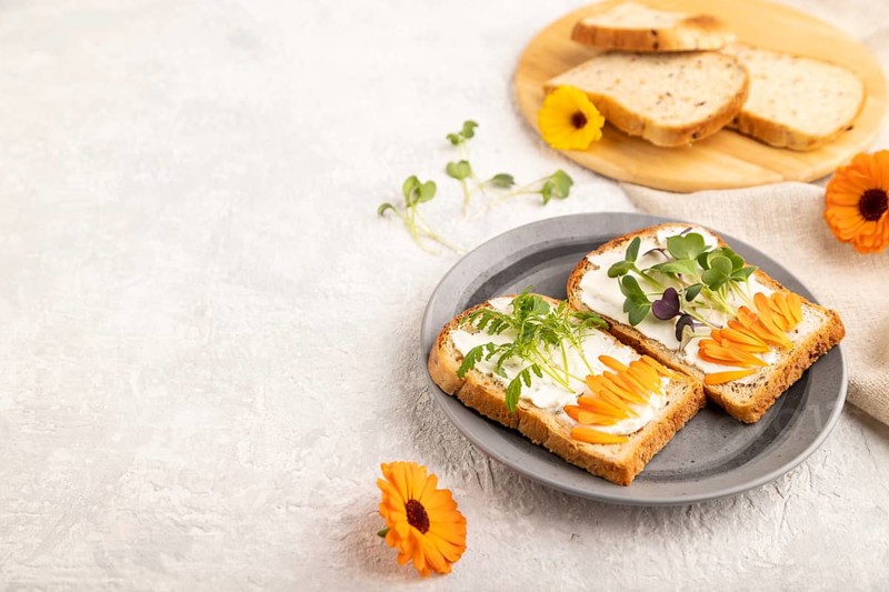 White bread sandwiches with cream cheese, calendula petals and microgreen radish and tagetes on gray concrete background and linen textile. side view, copy space