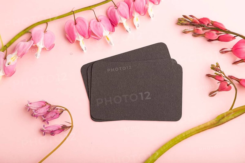 Black business card with pink dicentra, broken heart flowers on pink pastel background. top view, flat lay, copy space, mockup, template, spring, summer minimalism concept