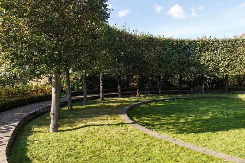 Cottage garden with green lawn, trees, hedges, trimmed bushes. Modern landscape design