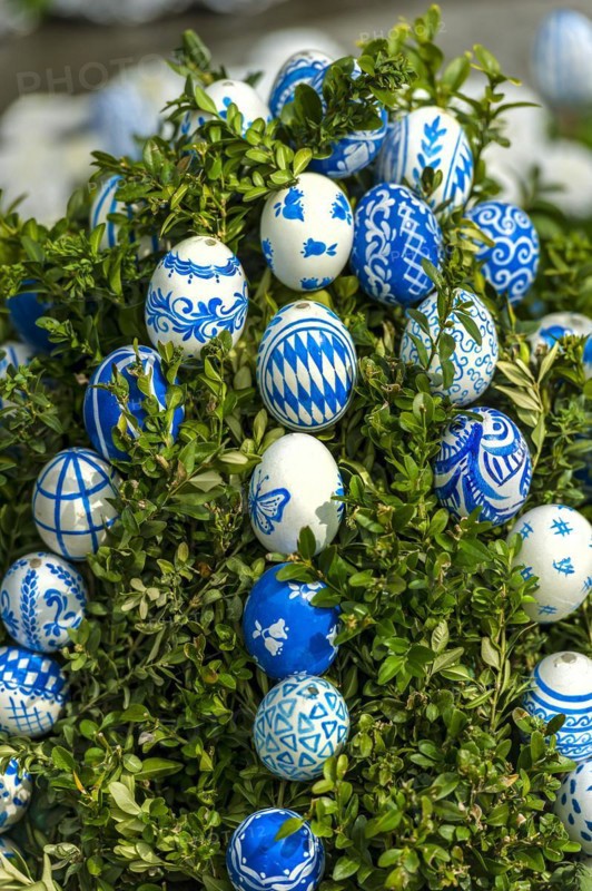 Hand-painted Easter eggs in Bavarian colours white and blue, Easter fountain, Ludwigsbrunnen, Easter market, Ingolstadt, Upper Bavaria, Bavaria, Germany, Europe
