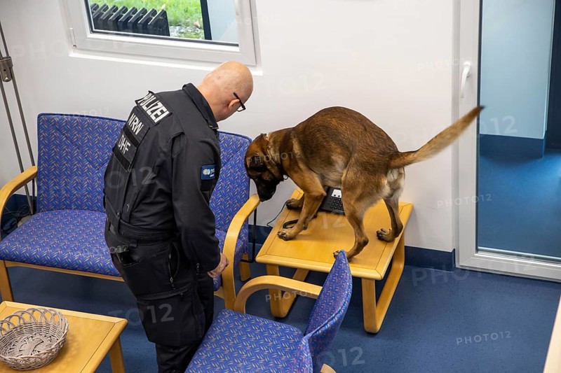 Data storage sniffer dog of the North Rhine-Westphalia police, here in a training flat, training institute, the dogs can sniff out data carriers such as USB sticks, hard drives, memory cards, Neuss, North Rhine-Westphalia, Germany, Europe