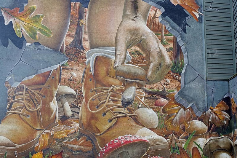 A mural shows a hand picking up a mushroom next to a boot in an autumnal forest, Mural Trail, Glasgow, Scotland, United Kingdom, Europe