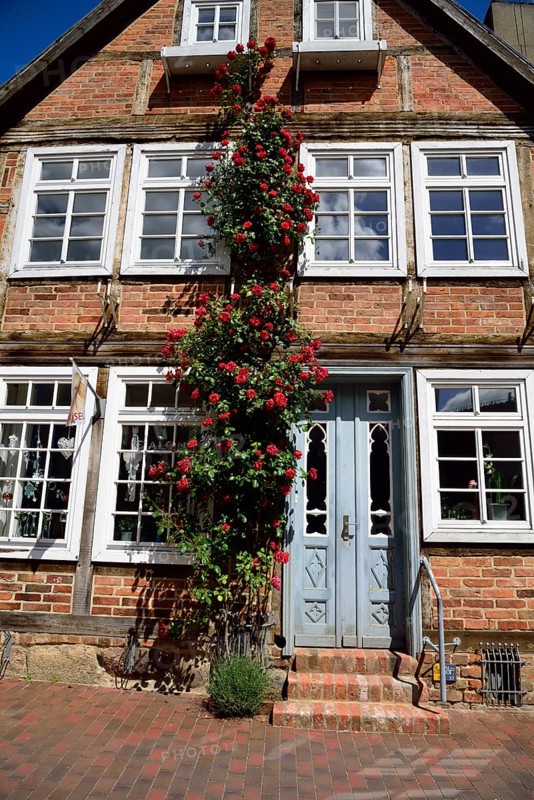 Europe, Germany, Mecklenburg-Western Pomerania, Bützow, half-timbered house with hollyhocks, beautiful entrance door, Bützow, Mecklenburg-Western Pomerania, Germany, Europe