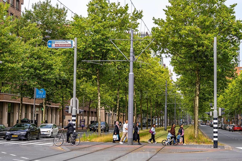 Urban greening, inner-city street Laan op Zuid, in Rotterdam's Feijenoord district, 4 lanes, 2 tram tracks, cycle paths on both sides, pavements and parking lanes, planted with hundreds of plane trees over around 1.5 km, providing shade, cooling in summer, tram tracks with grass surface, less surface sealing, urban climate, microclimate in the city, Rotterdam, Netherlands