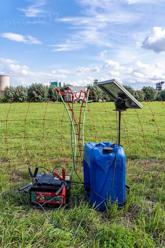Electric pasture fence, designed to prevent molluscs, here sheep, from touching and climbing over the fence, they receive a slight electric stimulus, power supply via a car battery, solar charger, North Rhine-Westphalia, Germany, Europe