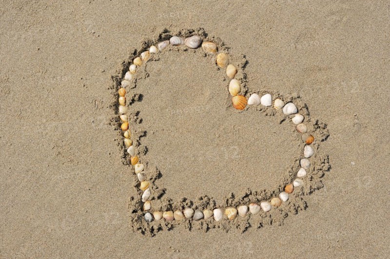 Heart made of mussel shells on the beach, Camargue, Provence, South of France