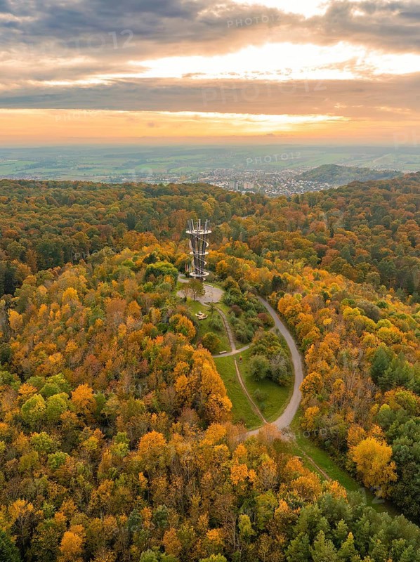 Colourful autumn forest with a tower and vibrant foliage under the sunset sky, Schönbuchturm, Herrenberg, Germany, Europe