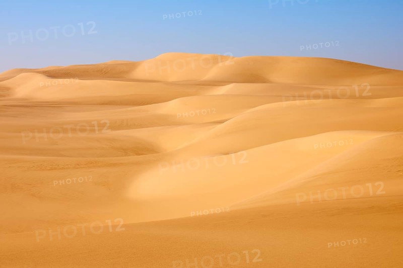 Gentle sand dunes stretch out under a clear blue sky, Matruh, Great Sand Sea, Libyan Desert, Sahara, Egypt, North Africa, Africa