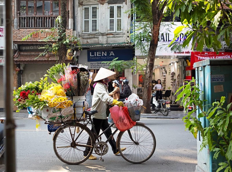 Vietnamese flower seller with conical hat and bicycle in the Old Quarter of Hanoi, Vietnam, Asia