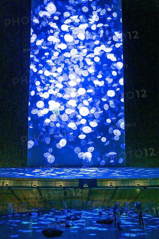 Plante Ozean exhibition in the Gasometer in Oberhausen, the world's oceans in their fragile beauty are the focus of the new exhibition, large-format photos, exhibits including a whale skeleton and an immersive large-scale video and sound installation, The Wave, on a 40 metre high screen measuring over 1000 square metres in total can be seen, Oberhausen, Germany, Europe