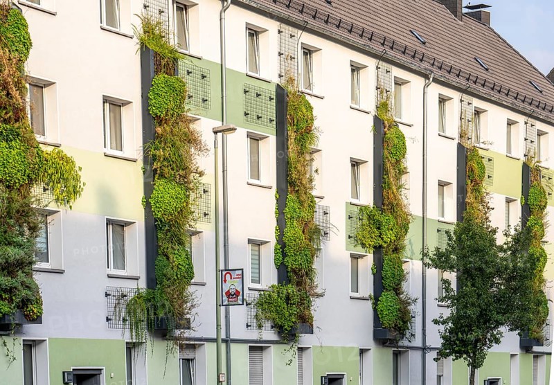 Facade greening on apartment blocks, on Gladbecker Straße, B224, to filter nitrogen oxides and fine dust particles from the air, climbing vines, flowering shrubs, grasses, ferns and ivy grow in the vertical gardens, Essen, North Rhine-Westphalia, Germany, Europe