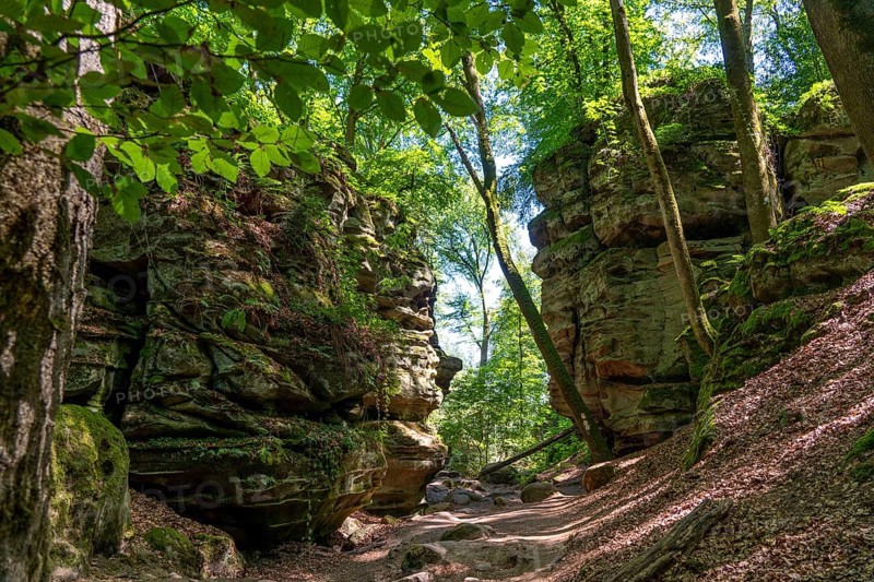 Path to the Devil's Gorge, near Irrel, Southern Eifel nature park Park, Rhineland-Palatinate, Germany, Europe