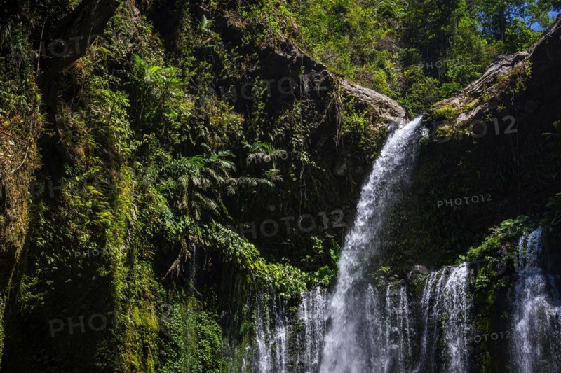 Sendang Gile waterfall, nature, landscape, flowing, river, fresh, clear, clean, environment, rainforest, jungle, green, ecological, long-distance, exotic, cascade, flora, botany, jungle, forest, tranquillity, relaxation, wellness, idyllic landscape, beautiful, beauty, natural spectacle, paradise, paradisiacal, hiking, trekking, tropical forest, rainy season, travel, tourism, water, tropical, tropics, Asian, natural landscape, untouched, holiday, pristine, water, fresh, Lombok, Indonesia, Asia