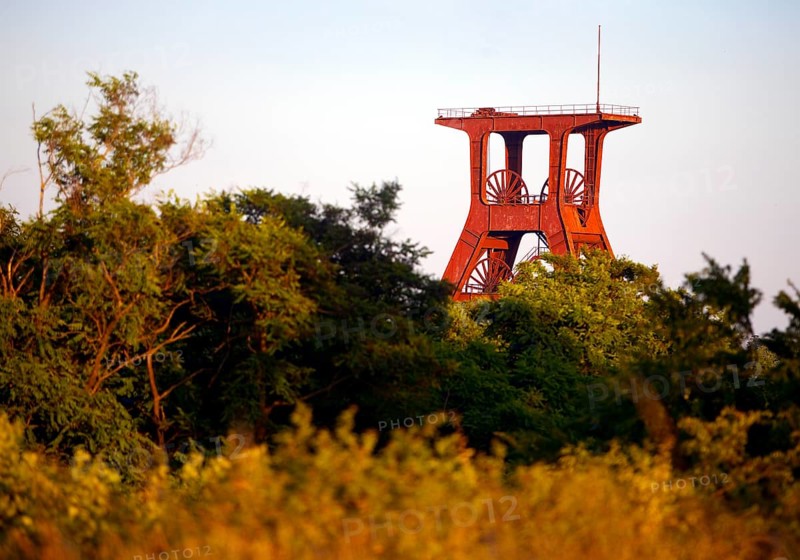 Pluto spoil tip with vegetation and the double trestle above shaft 3 of Pluto colliery, Herne, Ruhr area, North Rhine-Westphalia, Germany, Europe