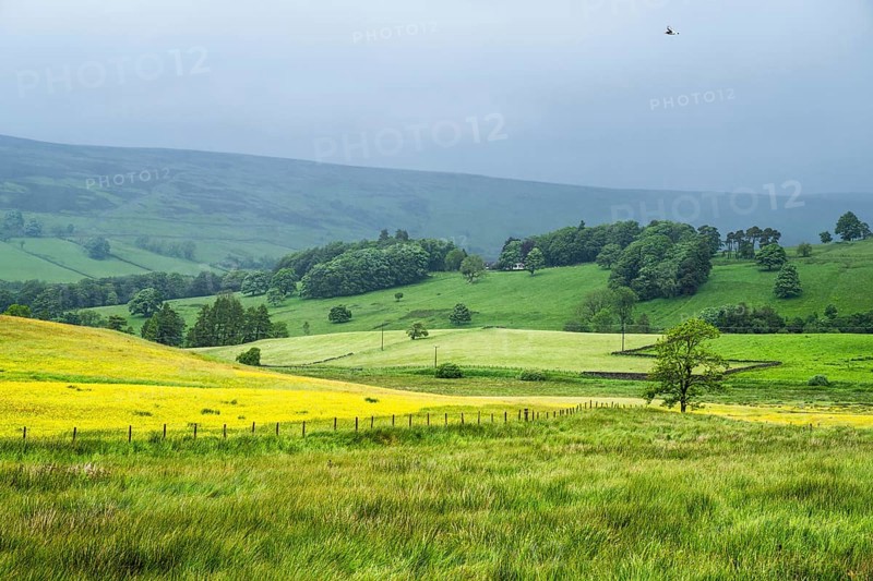 Farms over North Pennines, Cumbria, Durham, Northumberland, North Yorkshire, England, United Kingdom, Europe