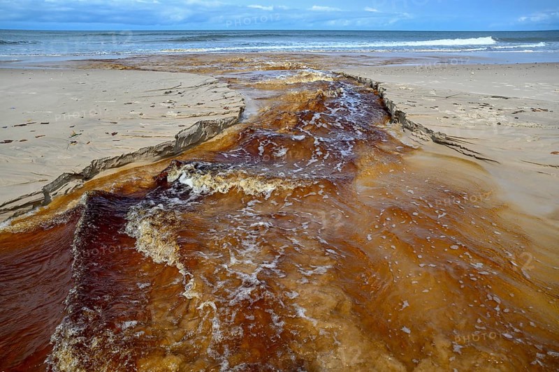 Tannic water from the Congo Basin flows into the Atlantic Ocean, Petit Loango, Loango National Park, Parc National de Loango, Ogooué-Maritime Province, Gabon, Africa
