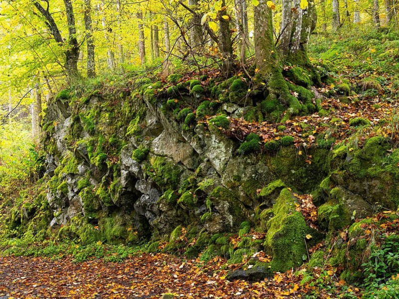 Rocky outcrop of Basalt rocks, near the Schwartzbach, with moss covered boulders and autumn colour. The Rhön UNESCO Biosphere nature reserve, county Bavaria, Germany, Europe