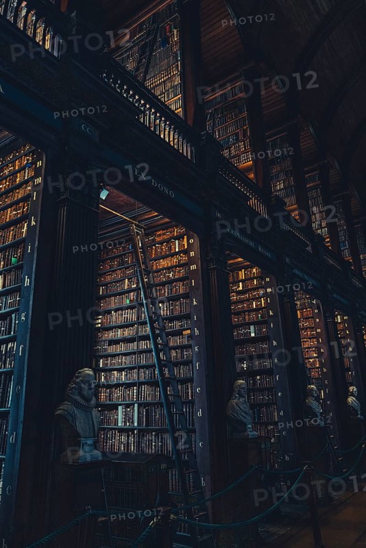 Library of Trinity College, Dublin