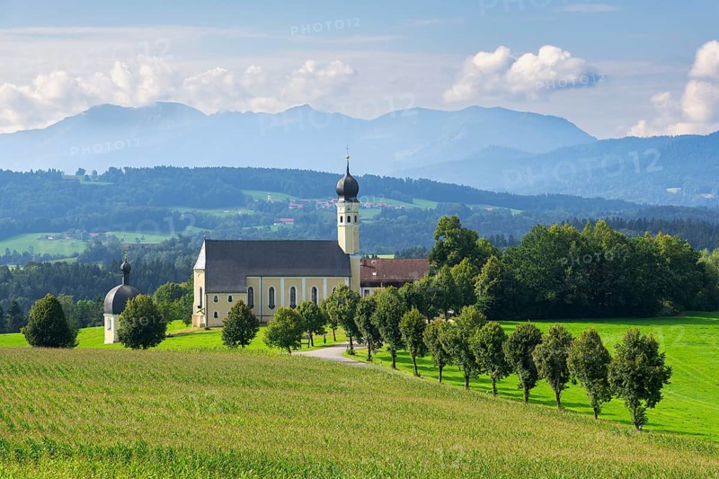 Pilgrimage church of St Marinus and Anian in Wilparting, cornfield, avenue, municipality of Irschenberg, Oberland, Upper Bavaria, Bavaria, Germany, Europe