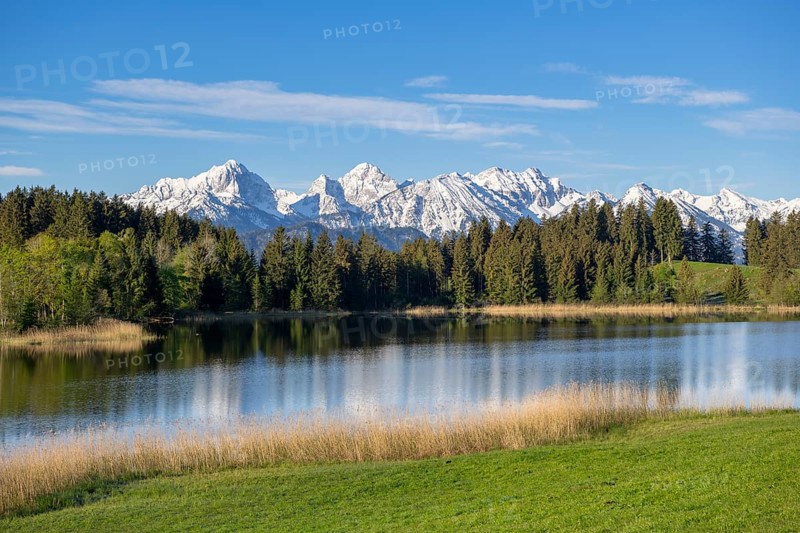 Hegratsrieder See near Füssen, Allgäu Alps, snow, Allgäu, Bavaria, Germany, Europe