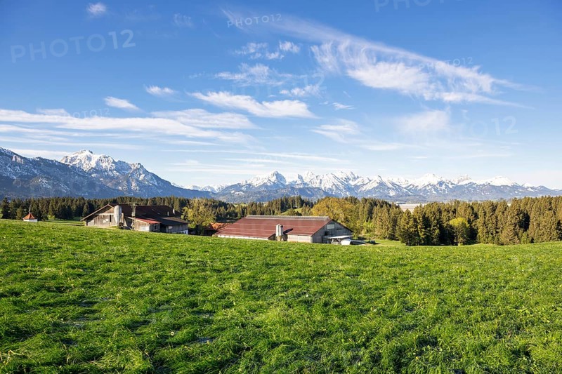 Farm at Hegratsrieder See near Füssen, spring meadow, Allgäu Alps, snow, fir forest, Allgäu, Bavaria, Germany, Europe