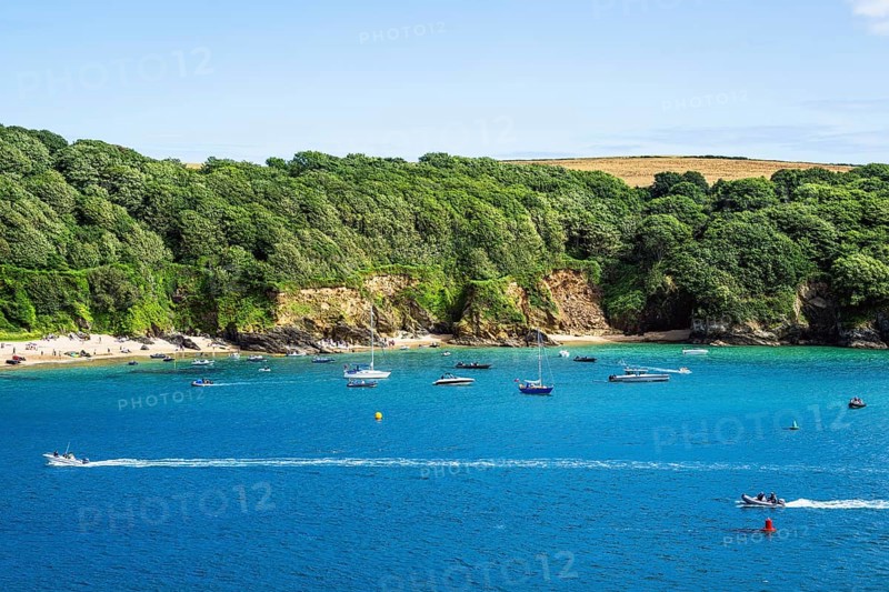 Boats and Yachts on Kingsbridge Estuary in Salcombe and Mill Bay, Batson Creek, Southpool Creek, Devon, England, United Kingdom, Europe