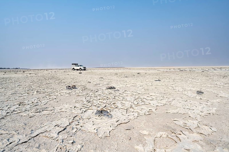 Four-wheel drive Toyota Hilux with roof tent, driving over salt pan, lone car in large wide plain, Nxai Pan National Park, Botswana, Africa