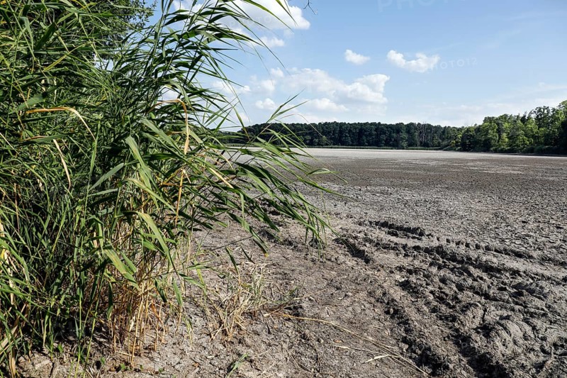 The bottom of a dried-up fish pond in Reckahn in Brandenburg looks like parched desert soil. The Plane, a river that usually fills the fish ponds with water, is dry and no longer carries any water, Reckahn, 09/08/2022