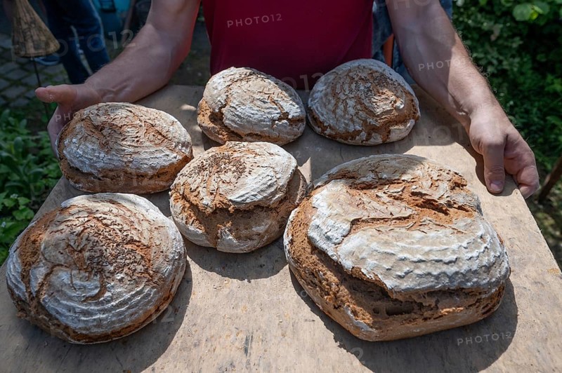 Freshly baked wood-fired bread on a tray, baking oven festival in Franconia, Bavaria, Germany, Europe