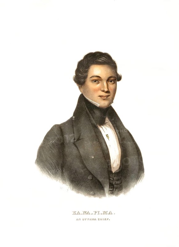 American Indian, Native American, Ka-Na-Pi-Ma, a chief of the Ottawa, United States of America, USA, Painting by Charles Bird King (1785, 1862), c. 1840, Historic, digitally restored reproduction from a 19th century original, Record date not stated, North America