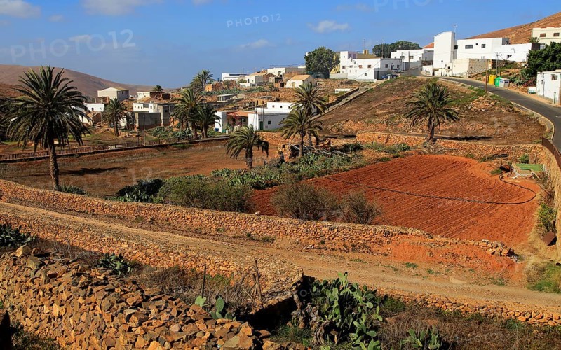 Farmland and houses in the village of Toto, Pajara, Fuerteventura, Canary Islands, Spain, Europe