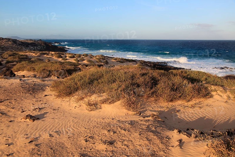 Coastal landscape sandy beach dunes, Corralejo, Fuerteventura, Canary Islands, Spain, Europe