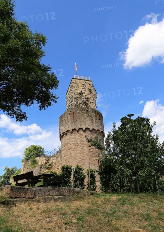 The Wachtenburg castle near Wachenheim close to Bad Dürkheim