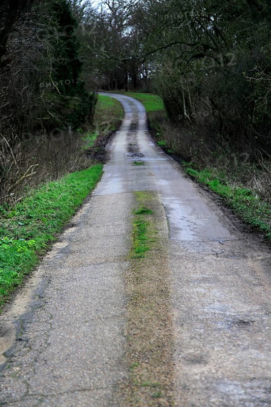 Long narrow winding tarmac country road in winter Sutton, Suffolk, England, UK
