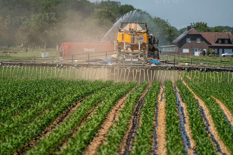 A maize field, with young plants, is fertilised with liquid manure, self-propelled slurry tanker, near Geldern, North Rhine-Westphalia, Germany, Europe