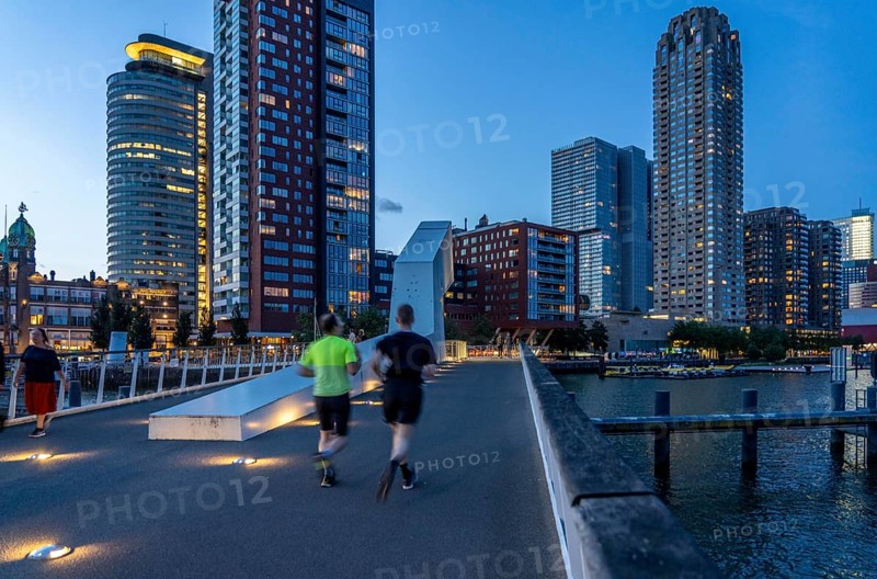High-rise buildings at Kop van Zuid, at the Rijnhaven harbour basin, Rijnhavenbrug, bridge, Hotel New York, Rotterdam, Netherlands