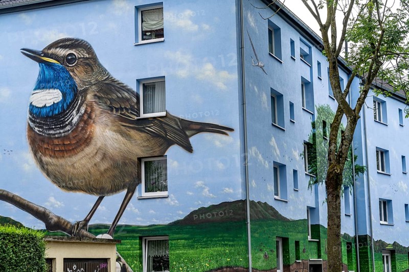 Residential buildings on Feldsieper Straße in Bochum, after an energy-efficient refurbishment, with facade insulation, the Bochumer Wohnstätten Wohnungsgenossenschaft had the buildings painted with a large mural by Dortmund graffiti artist Denis Klatt, it shows a bluethroat and a landscape with trees, life below ground and lots of sky on the entire facade, Bochum-Hamme, North Rhine-Westphalia, Germany, Europe