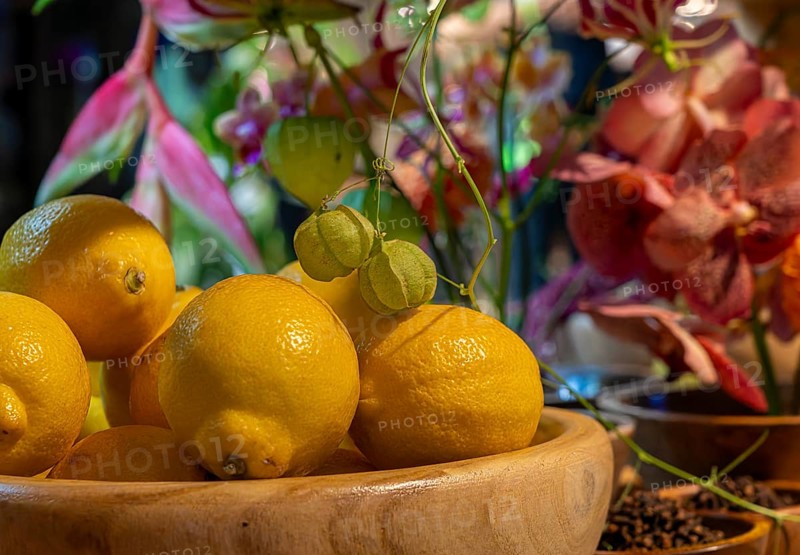Artistic flower arrangements and decorations, German Floristry Championships, Berlin, Germany, Europe