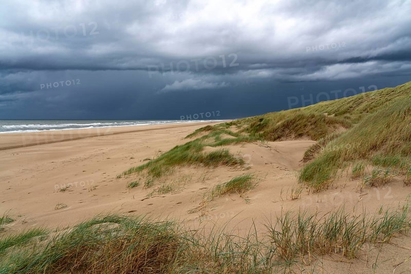 Dune landscape, beach, dark storm clouds, autumn at the North Sea in North Holland, between the towns of Egmond aan Zee and Bergen aan Zee, Netherlands