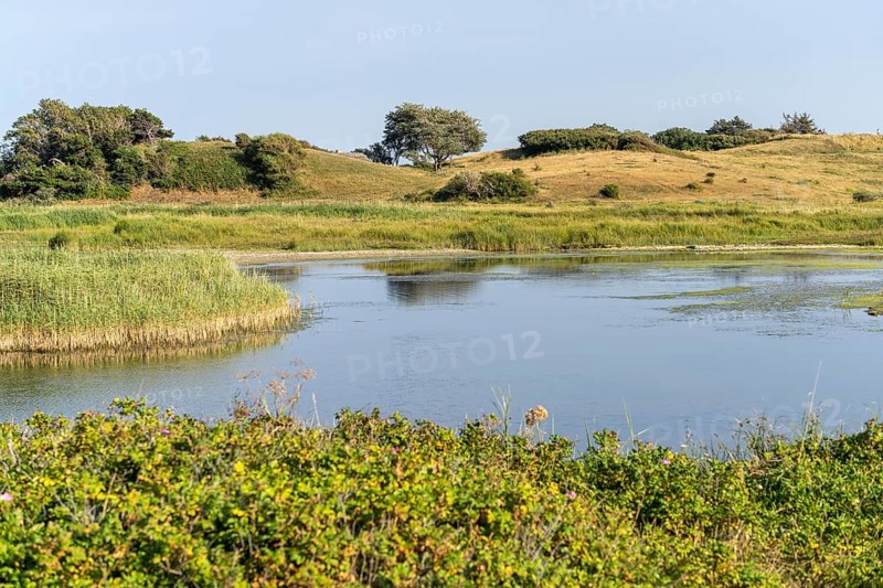 Landscape in the area near Klise Nor near Bagenkop, Langeland Island, Denmark, Europe
