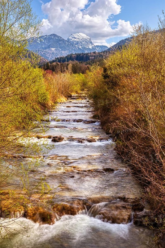 A babbling brook runs through a green forest with snow-capped mountains in the background, Jenbach, Bad Feilnbach