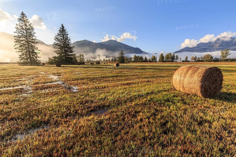 Hay bales, round bales, foggy mood, morning light, mountains, Loisach-Lake Kochel moor, view of Kochler mountains, Alpine foothills, Bavaria, Germany, Europe