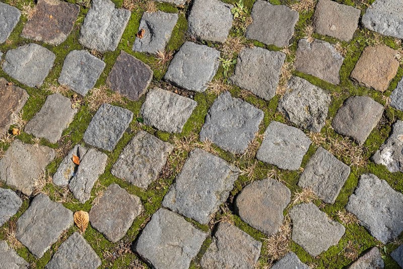 Cobblestones with green moss between the stones, creates a rustic and natural impression, Münsterland, North Rhine-Westphalia, Germany, Europe