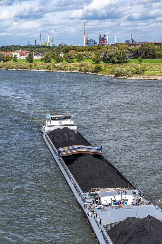 Rhine near Duisburg-Laar, freighter loaded with coal, houses on the dyke road, industrial backdrop of the ThyssenKrupp Steel steelworks in Bruckhausen, North Rhine-Westphalia, Germany, Europe