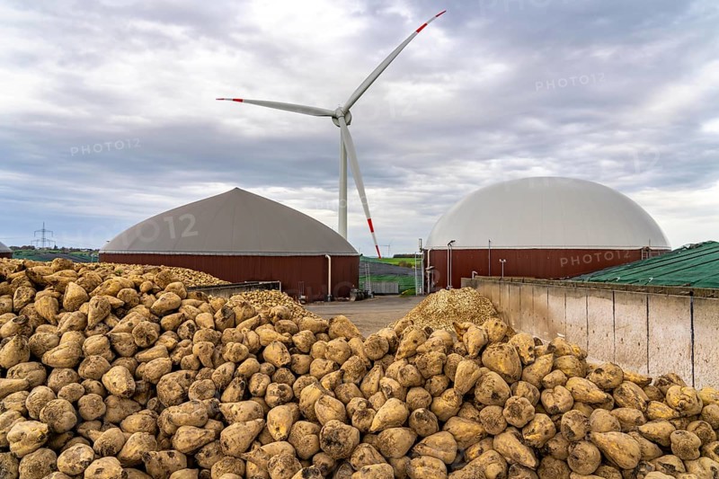 Biogas plant produces gas from various biomass, here the sugar beet storage, the electricity is produced in combined heat and power plants with the biogas produced and sold to companies in the neighbouring industrial estate, the heat generated is fed into a local heating network, gas storage and wind power plant, Ense, North Rhine-Westphalia, Germany, Europe