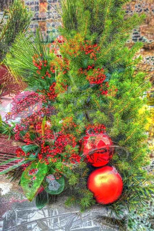 Christmas arrangement, Christmas motif, Christmas, Christmas, Christmas festival, Advent season, red Christmas baubles, jewellery, Advent season, artistic shot, alienation, Christmas decoration, Christmas card motif, creative photography, fir branches, Japanese fruit skimmia (skimmia japonica), evergreen perennial, red flowers, Germany, Europe
