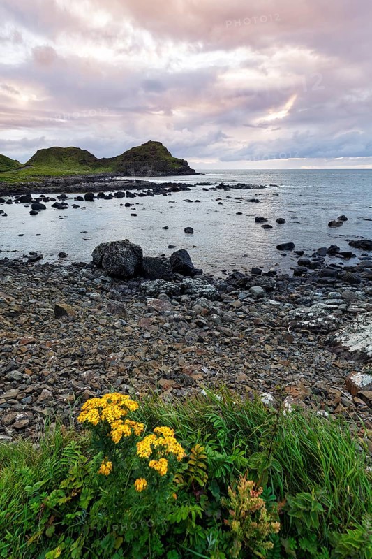 Rocky coast, coastline, dusk by the sea, Causeway Coastal Route, Antrim, Northern Ireland, Great Britain