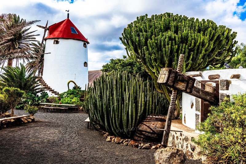 2016, Tiagua, Lanzarote, Farm Museum El Patio, Tiagua, ESP, Spain, Canary Islands, Canary Islands, Atlantic Ocean, Lanzarote, biosphere reserve, volcano, volcanism, agricultural museum, open-air museum, volcanic island, island, recording date, Europe
