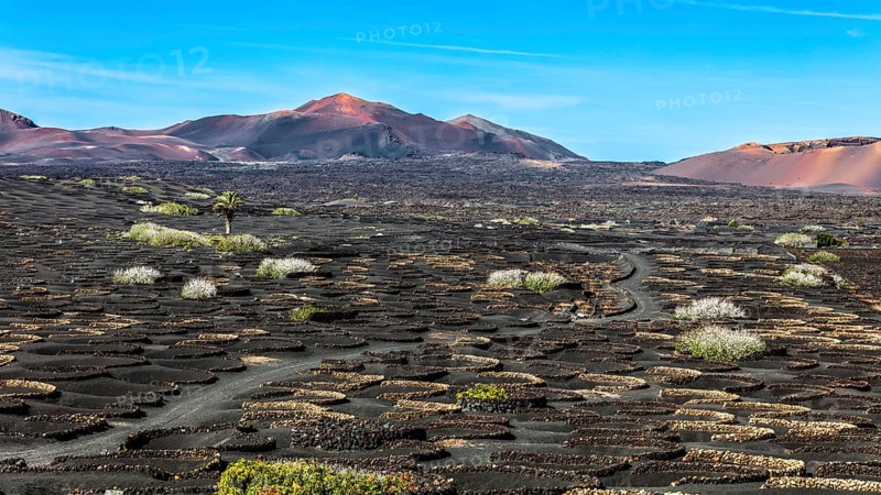 2016, La Geria, Lanzarote, La Geria, ESP, Spain, Canary Islands, Canary Islands, Atlantic Ocean, Lanzarote, biosphere reserve, volcano, volcanism, volcanic island, island, wine-growing area, wine, nature reserve, recording date, Europe